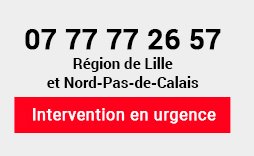 Intervention en urgence (Lille et la région Nord-Pas-de-Calais)