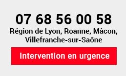 Intervention en urgence (région de Lyon, Roanne, Mâcon et Villefrance-sur-Saône)